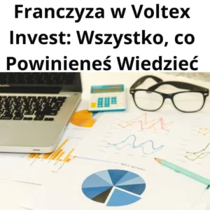 Franczyza w Voltex Invest