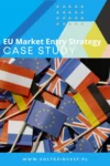 Case Study: EU Market Entry Strategy for a Sustainable Machinery Manufacturer 2025