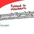 Successful Strategies for Foreign Companies Entering the Polish Market 2025